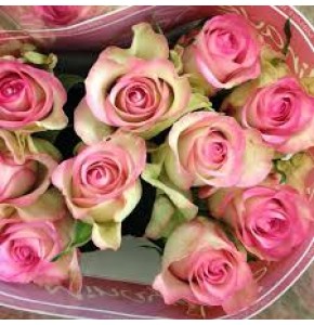 ΤΡΙΑΝΤΑΦΥΛΛΑ  ΔΙΧΡΩΜΑ ΦΟΥΞ  ROSEN LOVELY JEWEL 
